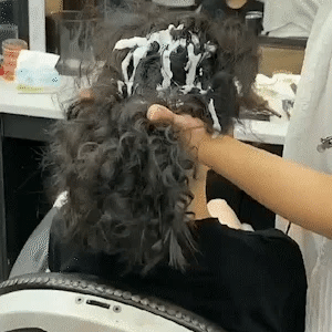 Person grooming a dog with a brush in a salon setting